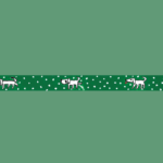 Washi Tape  |  stroll