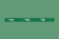 Washi Tape  |  stroll