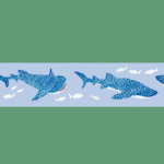Washi Tape  |  Maruichikyu Whale Shark