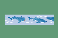 Washi Tape | Maruichikyu Whale Shark