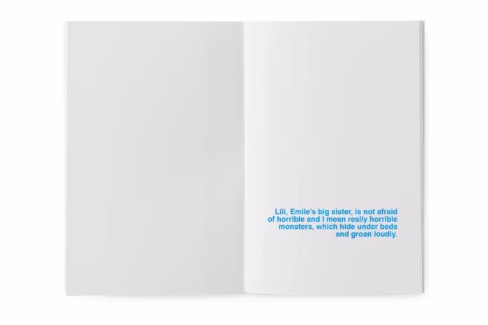 Where do monsters and spiders hide when they're afraid - a book to illustrate - Afbeelding 3