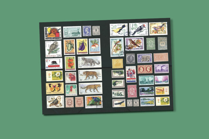 The Curious Collections Sticker Book - Afbeelding 2