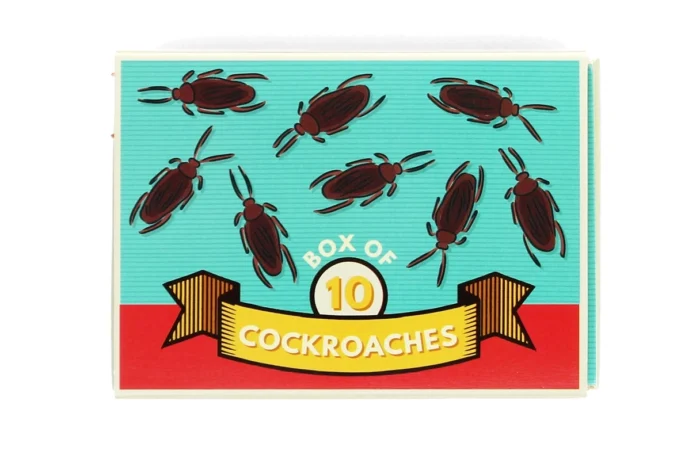 Doosje met nepkakkerlakken - Afbeelding 4