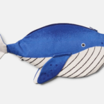 Etui Minke Whale