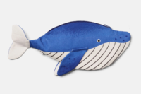 Etui Minke Whale