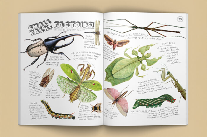 Illustoria nr. 27 | BUGS - Afbeelding 6