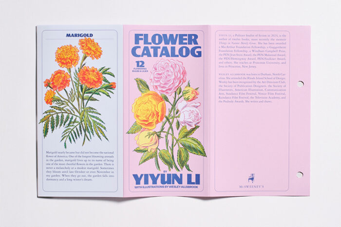McSweeney’s uitgave 80 - Afbeelding 6