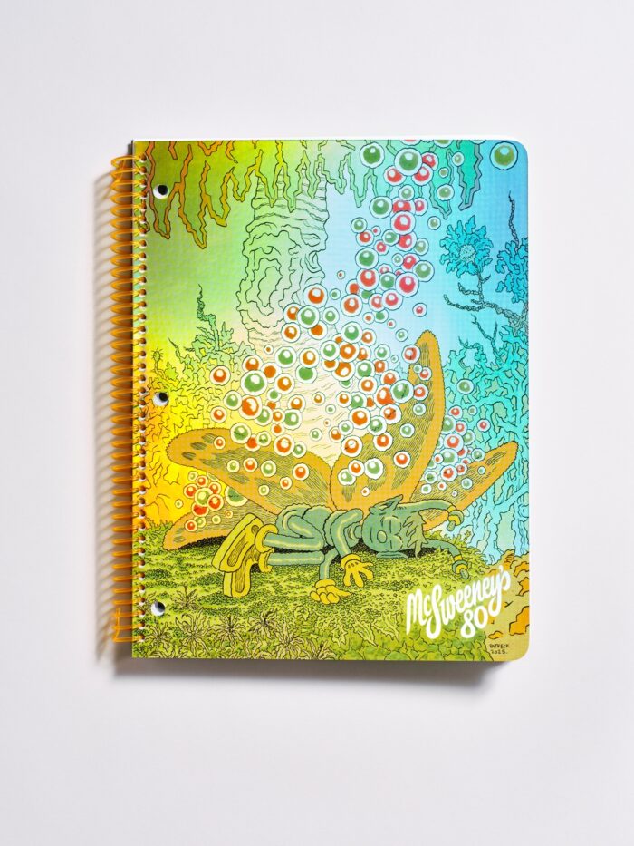 McSweeney’s uitgave 80 - Afbeelding 7