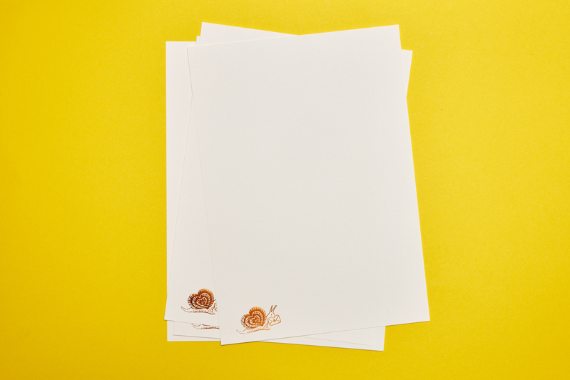 Zilvervis briefpapier A4 slak Briefpapier slak A4 - Afbeelding 1