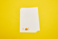 Briefpapier slak A5