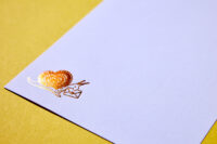 Briefpapier slak A5 - Afbeelding 2